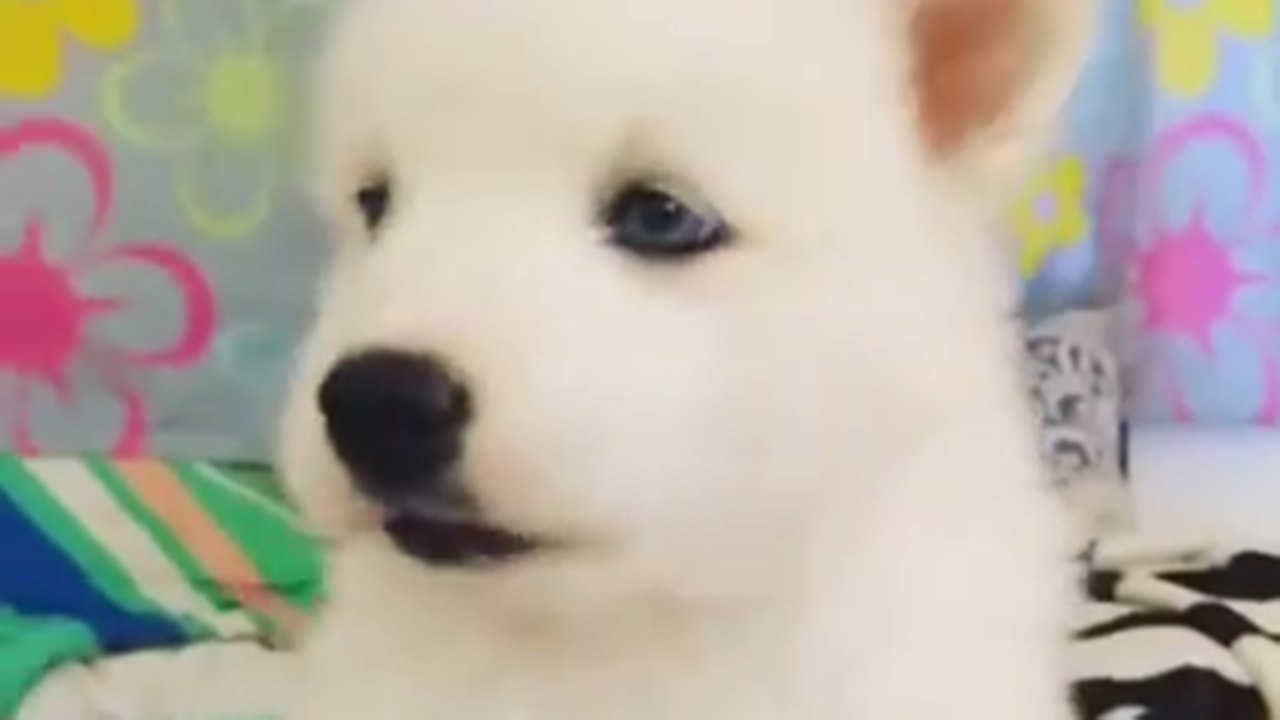 14338