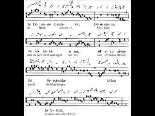 Graduale Salvum fac, Dominica XXIX TpA (29è TO)
