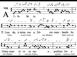 Alleluia Lauda anima, Dominica XXIX TpA (29è TO)