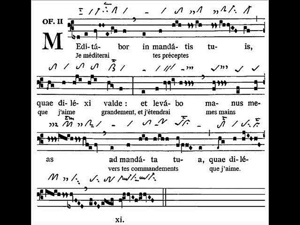 Offertorium Meditabor,  Dominica XXIX TpA (29è TO)