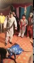 Pakistani Hot Mujra Dance THARKI BABA