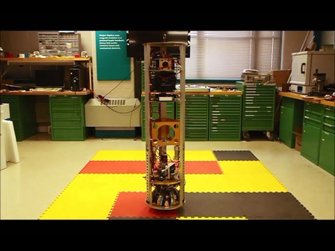 Ce robot se déplace sur une grosse bille de métal ! SIMbot