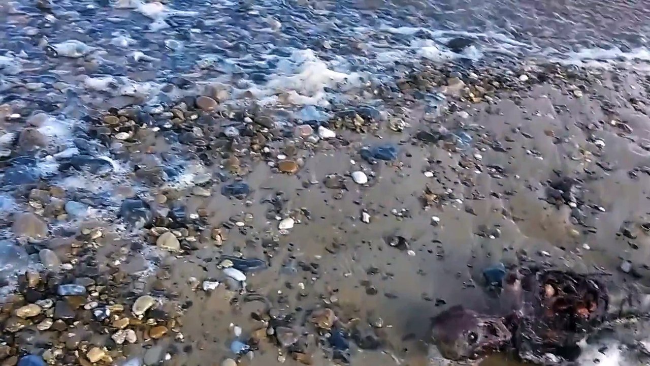 Ce gars dit avoir trouvé un sirène échouée sur une plage en angleterre.. Sérieux?
