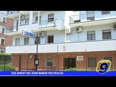 Controllo del territorio, due arresti nel Nord barese