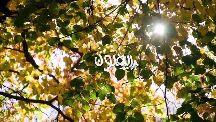 ريبر هبون , العقل المعرفي بمواجهة السلطة القامعة , الحلقة الأولى