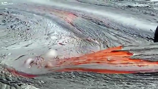 Must See The Miracle Of Allah, Mojza, Qudrat ALLAH ki KarishmaMust Watch & Share - HD