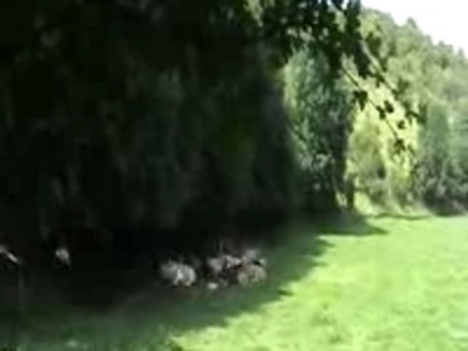 Les coteaux de Wravans sur l' Aa
