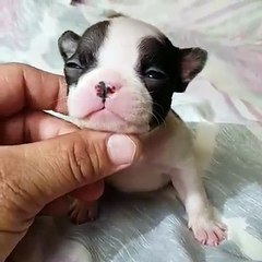 Your daily dose of cuteness