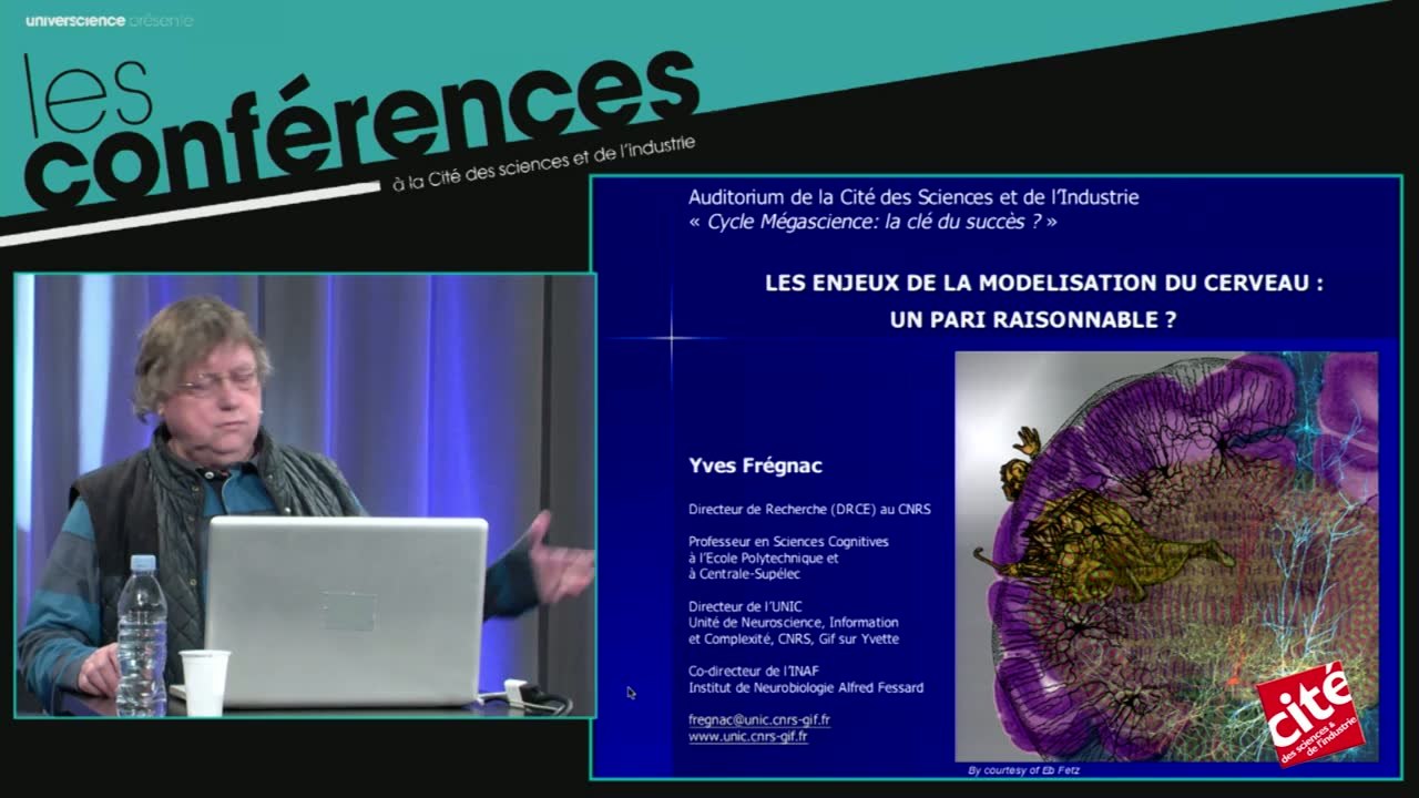 Modélisation du cerveau : un pari raisonnable ?