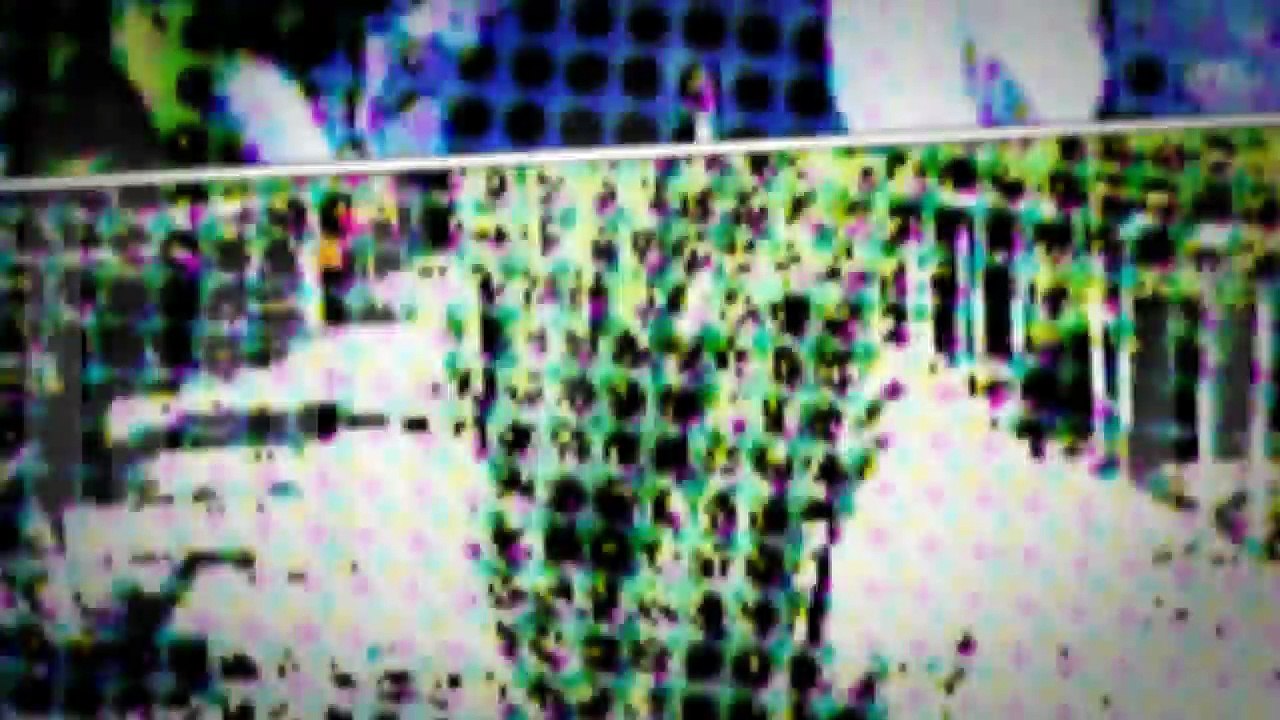 Improve The Look Of Your Yard By Planting Beautiful Herbs And Trees