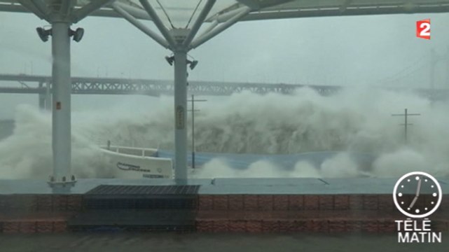 En Corée du Sud et au Japon, le typhon Chaba fait au moins quatre morts