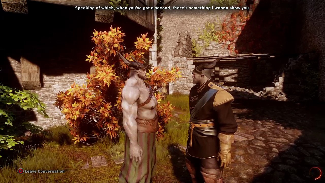 Dragon Age™: Inquisition_20161006015022