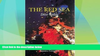 Big Deals  The Red Sea Dive Guide  Full Read Best Seller