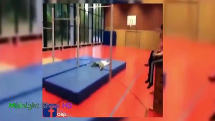 Whatsapp Funny Videos 2016 - Best Whatsapp Funny Videos Ever