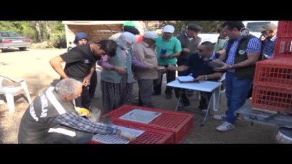 Kene ile Mücadele İçin Köylüye Beç Tavuğu Dağıtıldı