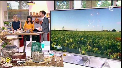 La mogette: la haricot " carré d'un bout"