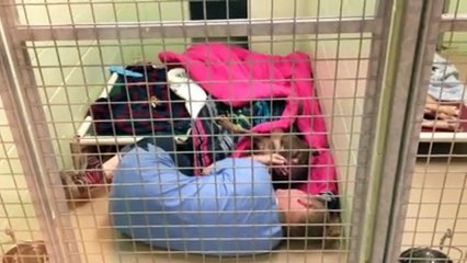 When you see what it does not believe this veterinary