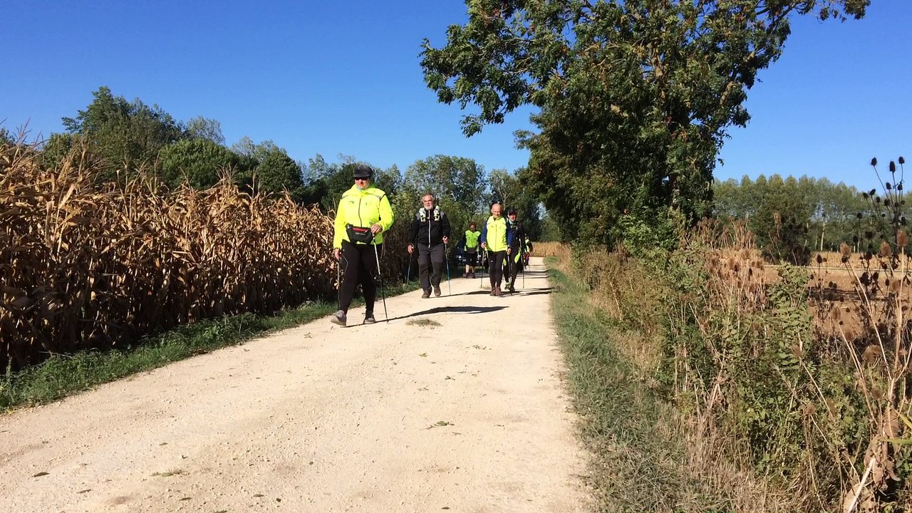 Marche nordique niveau Santé le jeudi 5 octobre 2016