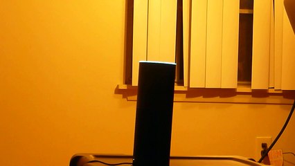 Amazon Echo vs. OK Google