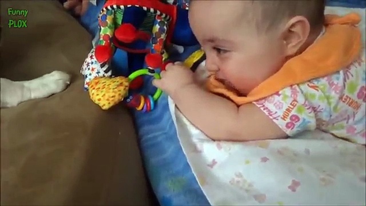 Puppies and Babies Playing Together Compilation 2016