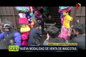 Cercado de Lima: nueva modalidad de venta ilegal de mascotas