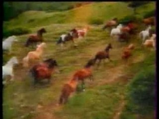 BA Grand Ecran - M6 - 1990