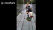 Chinese tourists get really scared walking on glass bridge