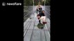 Chinese tourists get really scared walking on glass bridge
