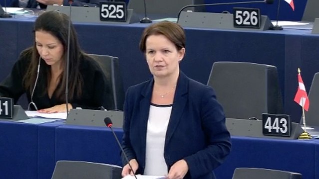 EUROPA SBAGLIATA, TRATTATI Europei SBAGLIATI, una MONETA UNICA SBAGLIATA: ecco servito l’eurodisastro!