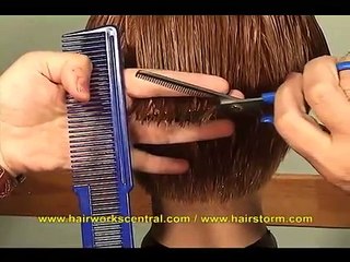 How To Use A Thinning Scissor - HAIRDRESSING LESSON