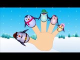 Penguins Finger Family | Finger Family Song For Kids