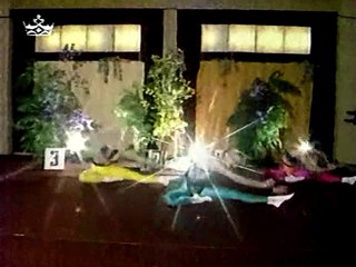 Шейп-шоу 1993 года (часть 2)