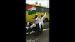[Respect]True Indian Muslim Shouting ''Hindustan ZindaBaad, Pakistan Murdabad'' Indian Viral Videos