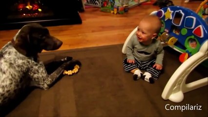 Video divertido animales y bebe. Animales y niños de risa