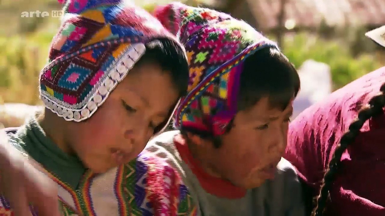 La Pomme De Terre: L'autre Trésor Inca