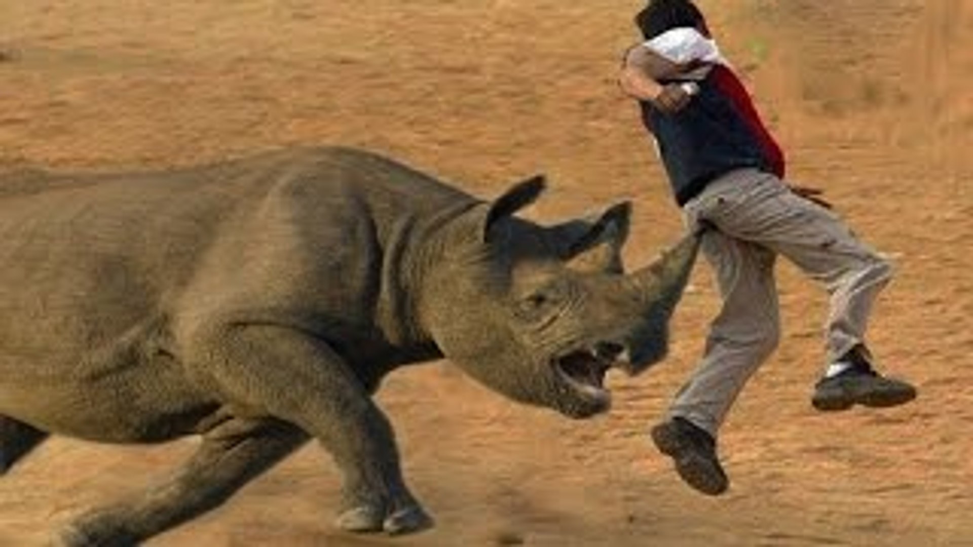 Most Shocking Animal Attacks On Human - Crazy Animal Attack People,Rhino,  Crocodile, Bear – Buena - video Dailymotion
