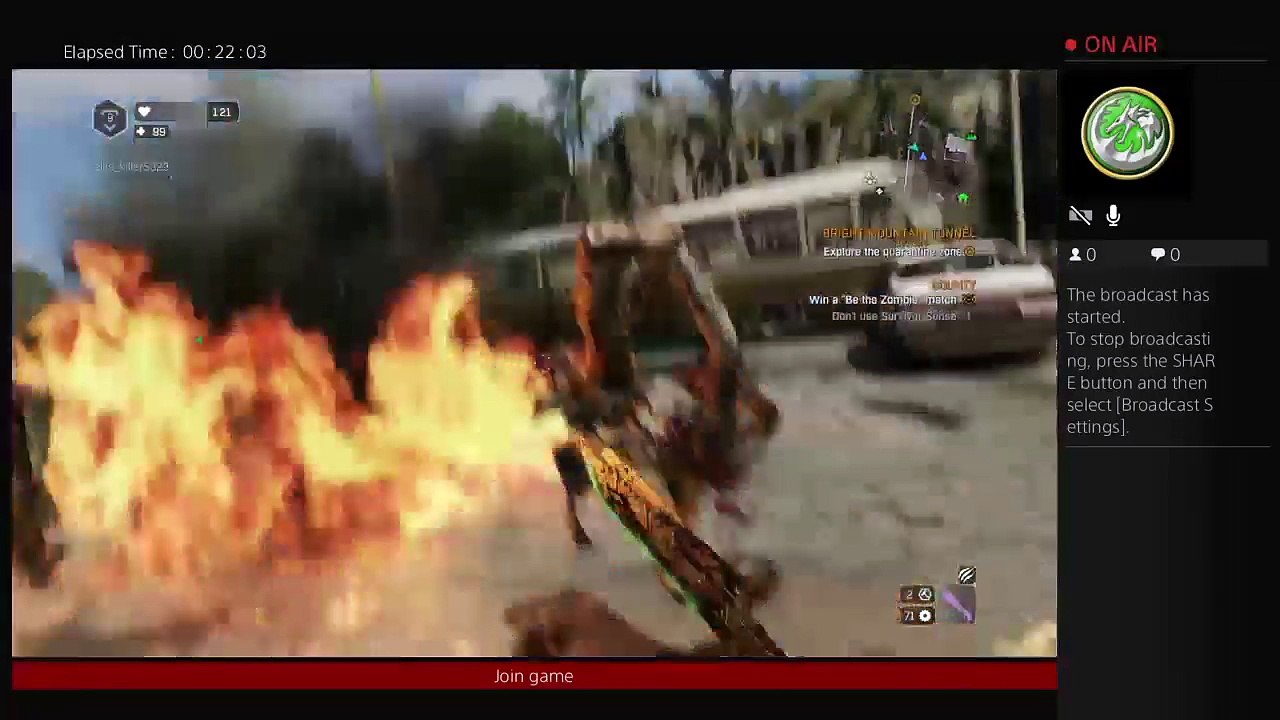 Dying light (13)