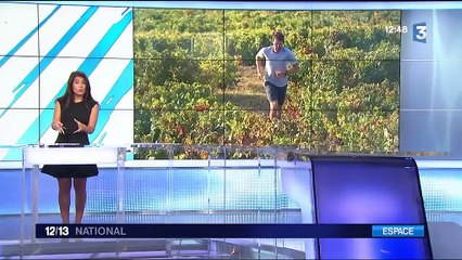 François D'Haene, un champion tout terrain