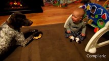 Video divertido animales y bebe. Animales y niños de risa
