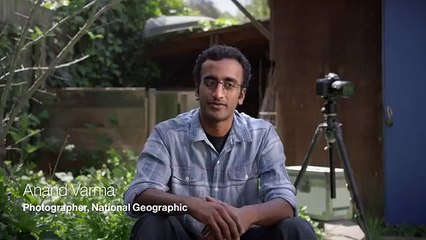 BOLT PUBLISHER REVIEW - SHOULD YOU BUY IT-Special bonuses