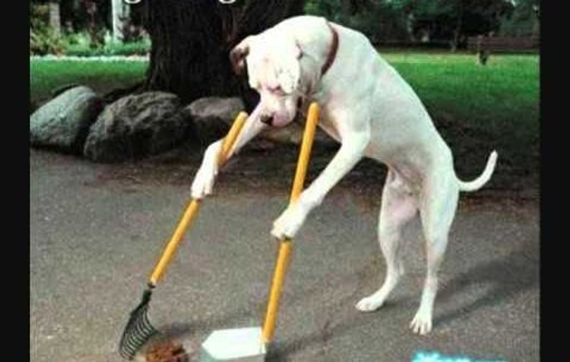 Top 20 Shocking Videos That Went Viral - Impossible Shocking Videos Collection 2016 NOT FAKE