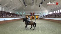Invitation à la danse avec l'Ecole royale andalouse d'art équestre