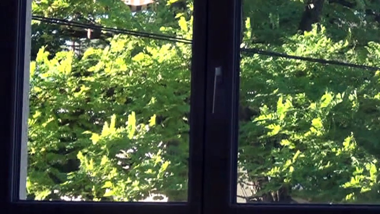 Dijon appart type maison triplex - Agence CARREZ Immobilier