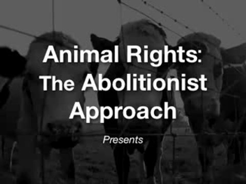 Animal Rights vs Animal Welfare