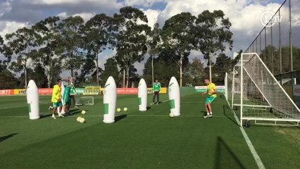 Ainda em recuperação, Prass participa de treino com goleiros do Palmeiras