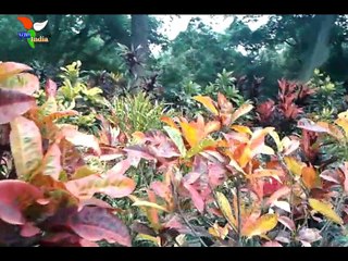 LalBagh Botanical Garden | Bangalore