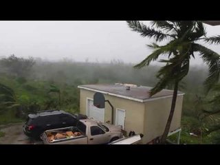 Hurricane Matthew Bends Palm Trees in Nassau