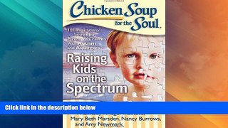 Big Deals  Chicken Soup for the Soul: Raising Kids on the Spectrum: 101 Inspirational Stories for