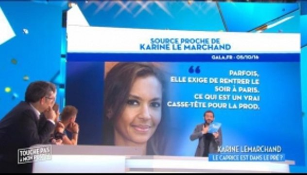 Karine Lemarchand - Le caprice est dans le pré - - TPMP - 06/10/2016