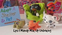 Little Pet Shop Pets & Unboxing Mandy Mixup & Freinds Toys